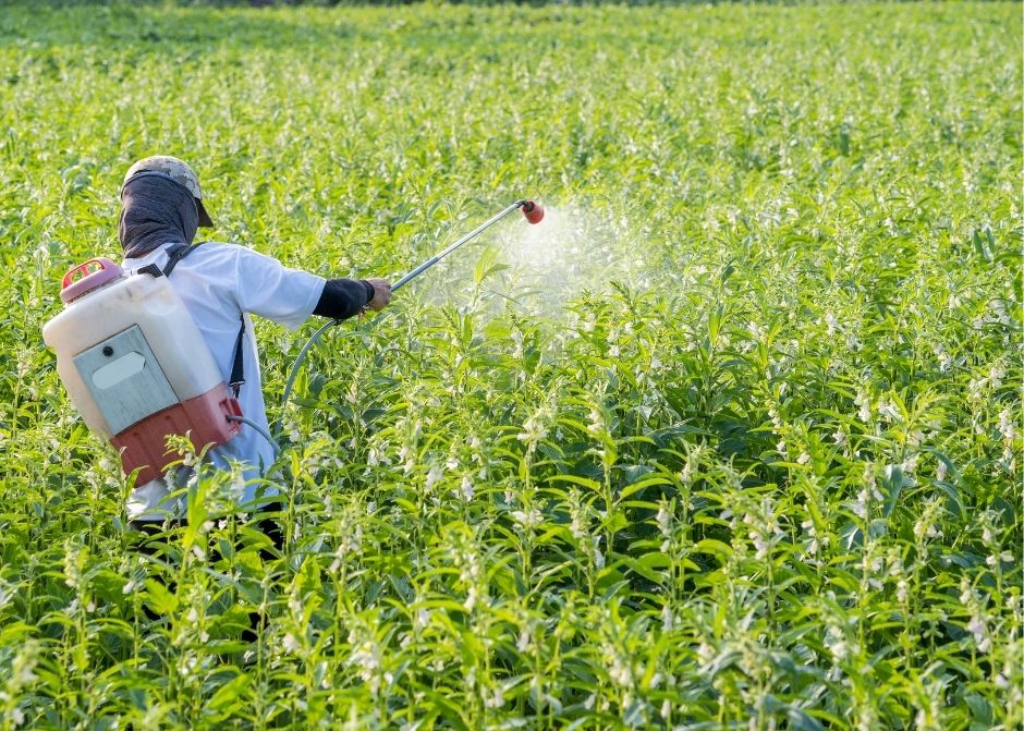 Söke İlaçlama Firmaları