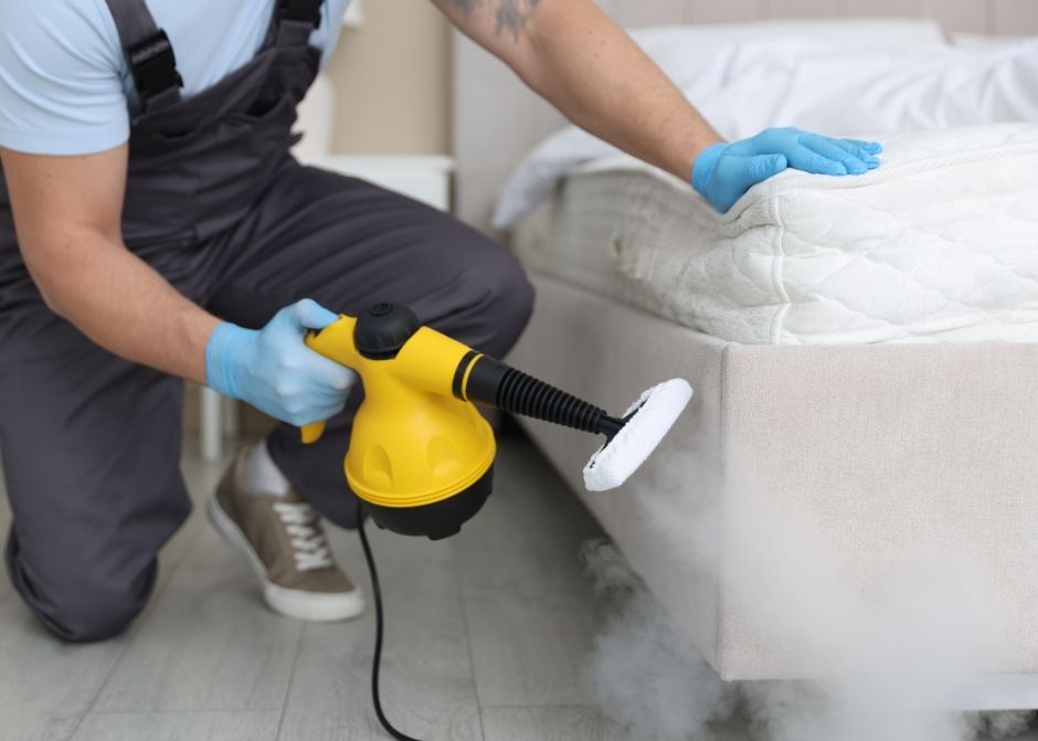 Söke Haşere İlaçlama Firmaları