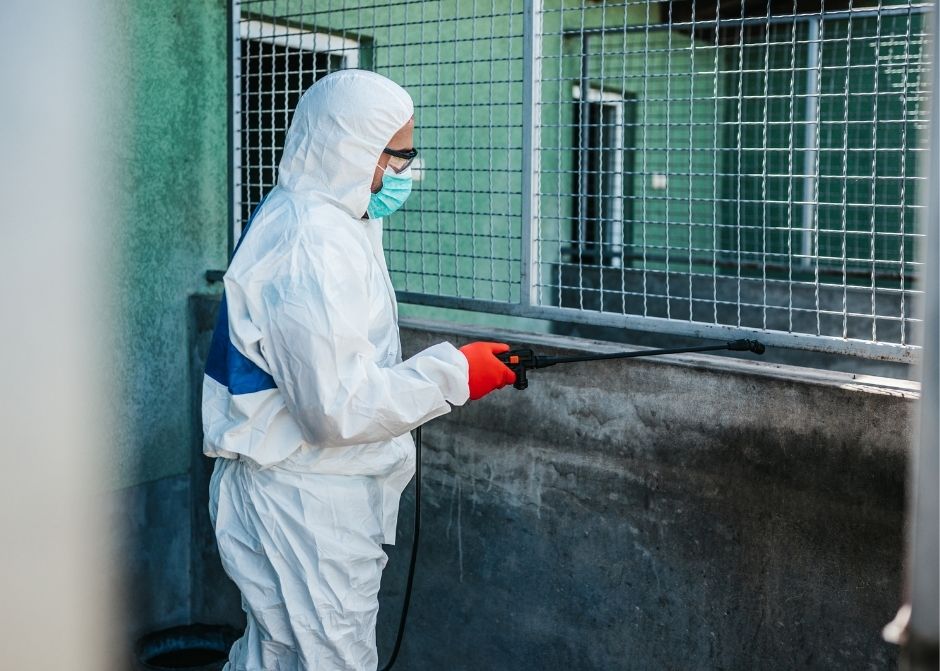 Söke Pire İlaçlama